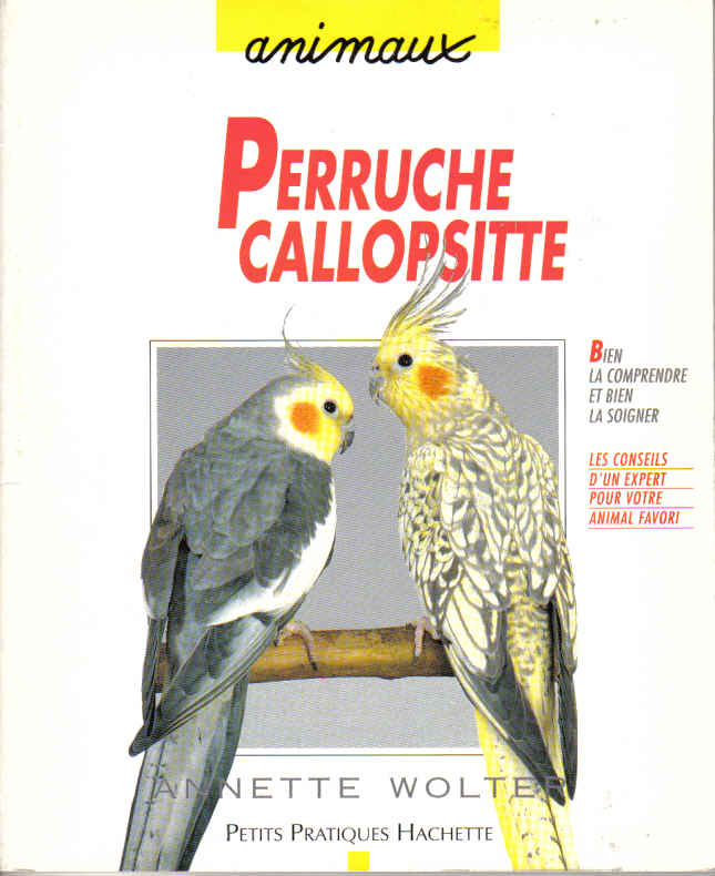 perruche_callopsite